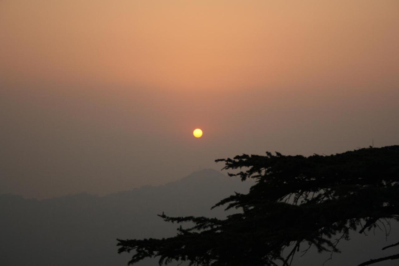Honeymoon Inn Shimla Esterno foto